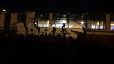 Росгвардейцы задержали вандалов, разрисовавших трамвай в Выборгском районе Петербурга