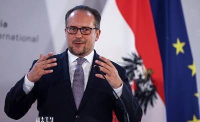 Министр иностранных дел Австрии: любые меры возможны (FAZ)