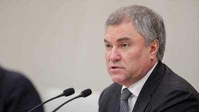 Володин прокомментировал возбуждение дела против депутатов Рады