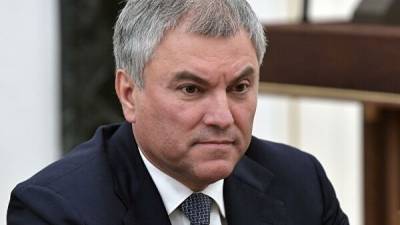 Володин осудил уголовное преследование посетивших Москву депутатов Верховной рады