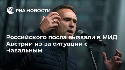 Российского посла вызвали в МИД Австрии из-за ситуации с Навальным