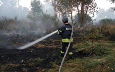 В Луганской области локализовали два очага пожаров
