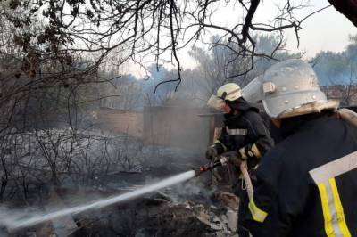 В Луганской области локализовали несколько очагов пожара