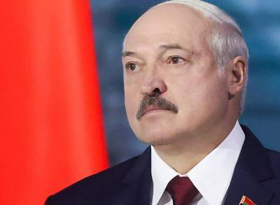 Лукашенко нарушил закон Беларуси, обращаясь за помощью к Путину — Колесникова