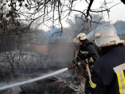 В Луганской области локализовали два очага пожаров – ГСЧС