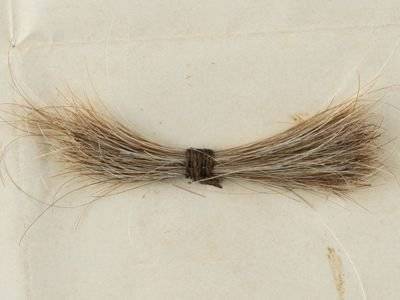 Прядь волос Авраама Линкольна, прикрепленная к окровавленной телеграмме, выставлена на аукцион