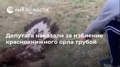 Депутата наказали за избиение краснокнижного орла трубой