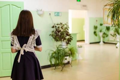 Центр по коронавирусу опроверг информацию о карантине в школах 2 сёл Читинского района