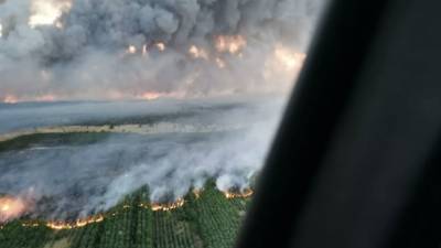 Площадь природного пожара в Ростовской области превысила 1500 га