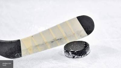 Два мальчика из Омска едва не погибли под хоккейными воротами