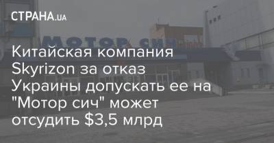 Китайская компания Skyrizon за отказ Украины допускать ее на "Мотор сич" может отсудить $3,5 млрд