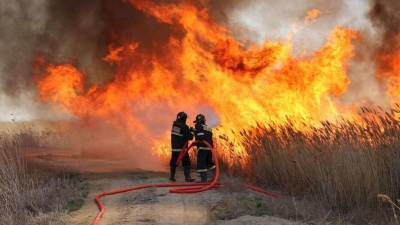 Камыш горит вдоль Каспия в Атырауской области: к тушению привлекут вертолёт