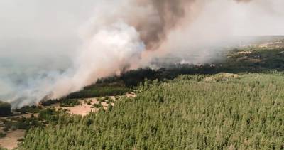 Спасатели локализовали лесной пожар в Ростовской области
