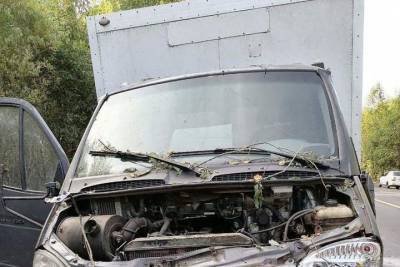 В Родниковском районе водитель ГАЗели умер прямо за рулем