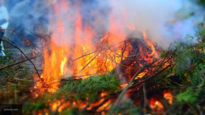 Спасатели остановили распространение огня в ростовском лесничестве