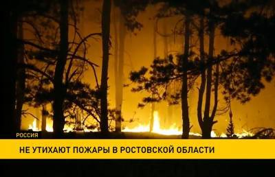 В Ростовской области не утихают лесные пожары