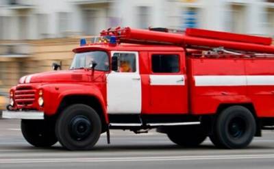 В Ростовской области спустя четыре дня локализовали крупный лесной пожар