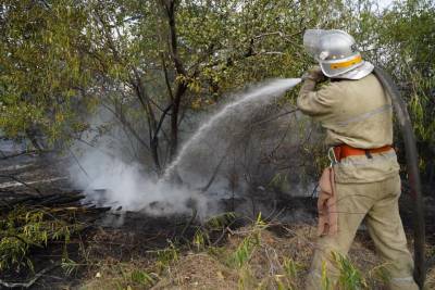 Пожары на Луганщине продолжают тушить: оперативная информация
