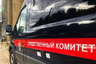 Полиция нашла девочку, которая пропала по пути в школу в Тверской области