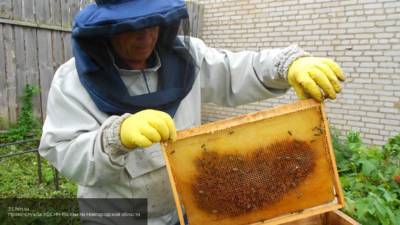 Пчеловод стал жертвой нападения ревнивца с ружьем в Башкирии - newinform.com - Башкирия - район Мелеузовский