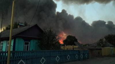 В Ростовской области площадь лесных пожаров увеличилась в 4 раза