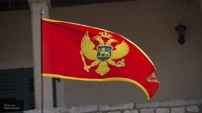 Демократическая партия Черногории признала поражение на прошедших выборах