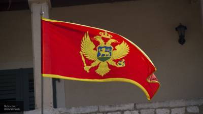 Демпартия Черногории признала поражение на парламентских выборах