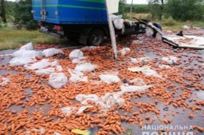 В Николаевской области два грузовика попали в смертельное ДТП