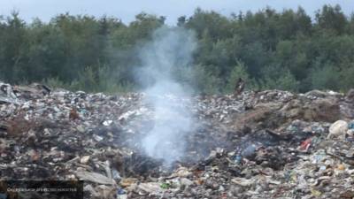 Пожар на норильском мусорном полигоне удалось локализовать
