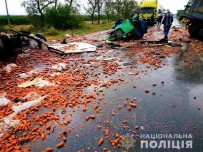 В Николаевской области столкнулись фуры: погибли оба водителя