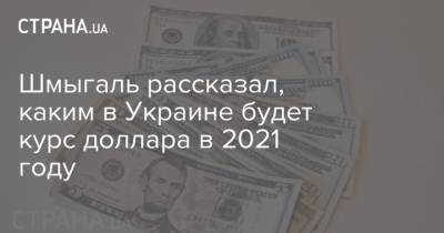 Шмыгаль рассказал, каким в Украине будет курс доллара в 2021 году