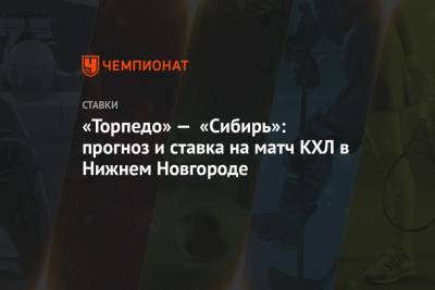 «Торпедо» — «Сибирь»: прогноз и ставка на матч КХЛ в Нижнем Новгороде