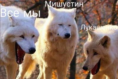 «Крепкий орешек» Александр Лукашенко стал мемом