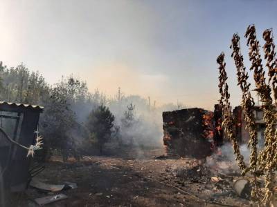 «Все дотла сгорело»: Ростовскую область охватили страшные пожары