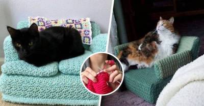 Карантин прошёл с пользой: хозяйки вяжут мини-диванчики и кресла для своих кошек