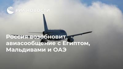Россия возобновит авиасообщение с Египтом, Мальдивами и ОАЭ