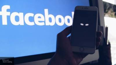 Facebook поддерживает русофобские силы: Самонкин о цензуре в Сети