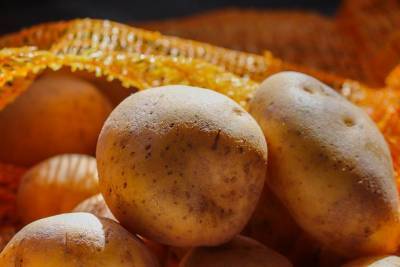 Учёные: Хранить картофель в подвале смертельно опасно