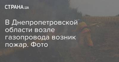 В Днепропетровской области возле газопровода возник пожар. Фото