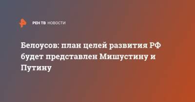 Белоусов: план целей развития РФ будет представлен Мишустину и Путину