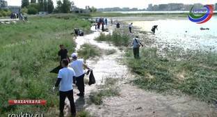 Активисты добились внимания властей к проблемам озера Ак-Гель