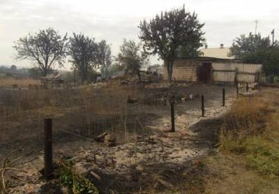 Возле Донецка и Горловки вспыхнули лесные пожары