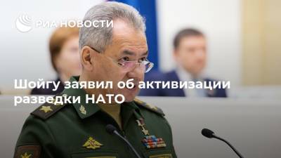 Шойгу заявил об активизации разведки НАТО