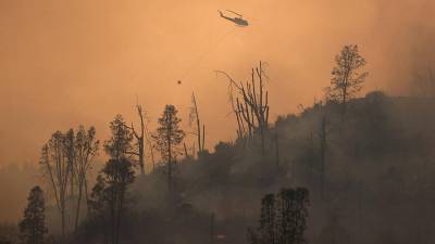 В Калифорнии из-за лесного пожара объявили эвакуацию