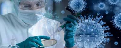 На Колыме за сутки выявили 33 случая коронавируса