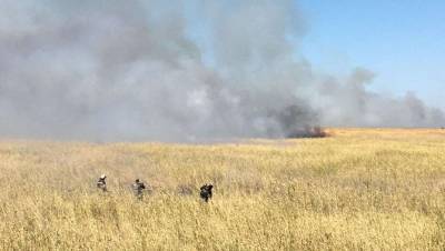 Возгорание камыша вдоль Каспия в Атырауской области: 30 тонн воды сбросили с вертолёта