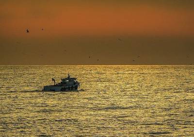 ФСБ запретила мурманским рыбакам потрошить рыбу