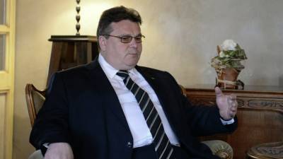 МИД Литвы призвал ЕС оказать оппозиции Белоруссии «конкретную помощь»