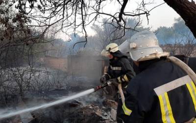 На востоке Украины продолжают тушить лесные пожары