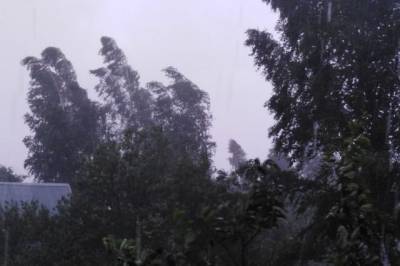 Синоптики: супертайфун ударит по Приморью быстрее изначального прогноза